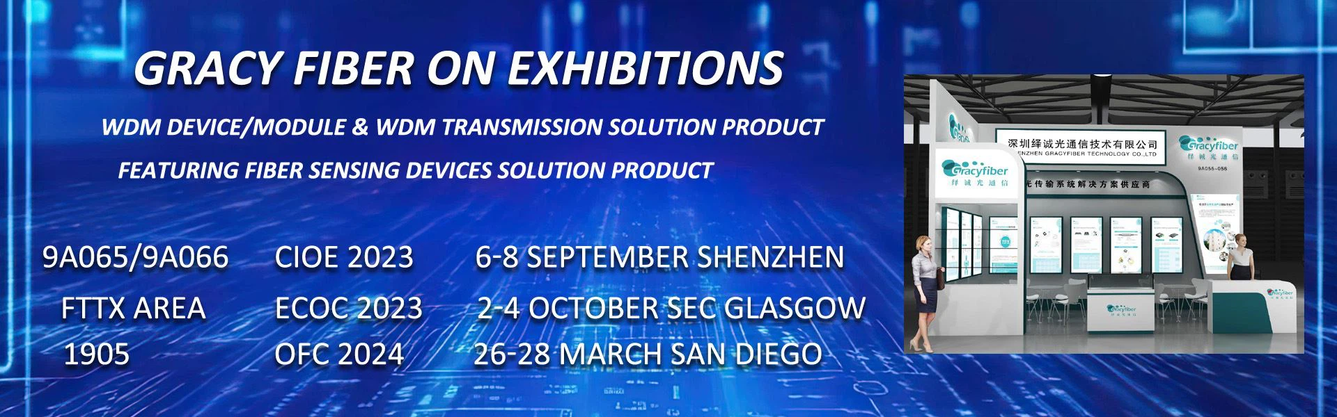 passive wdm series manufacturer